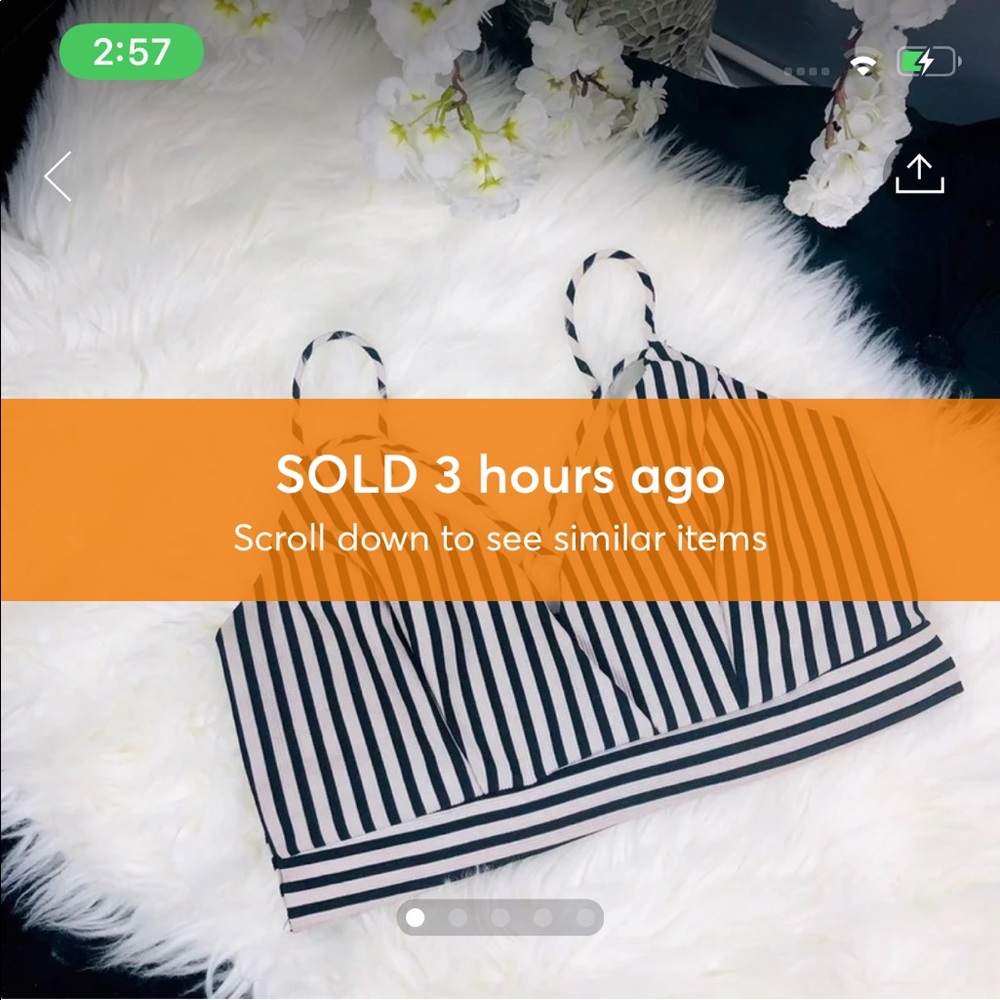 Charlotte Russe Sexy Sweatheart Crop Top